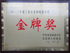 金牌奖